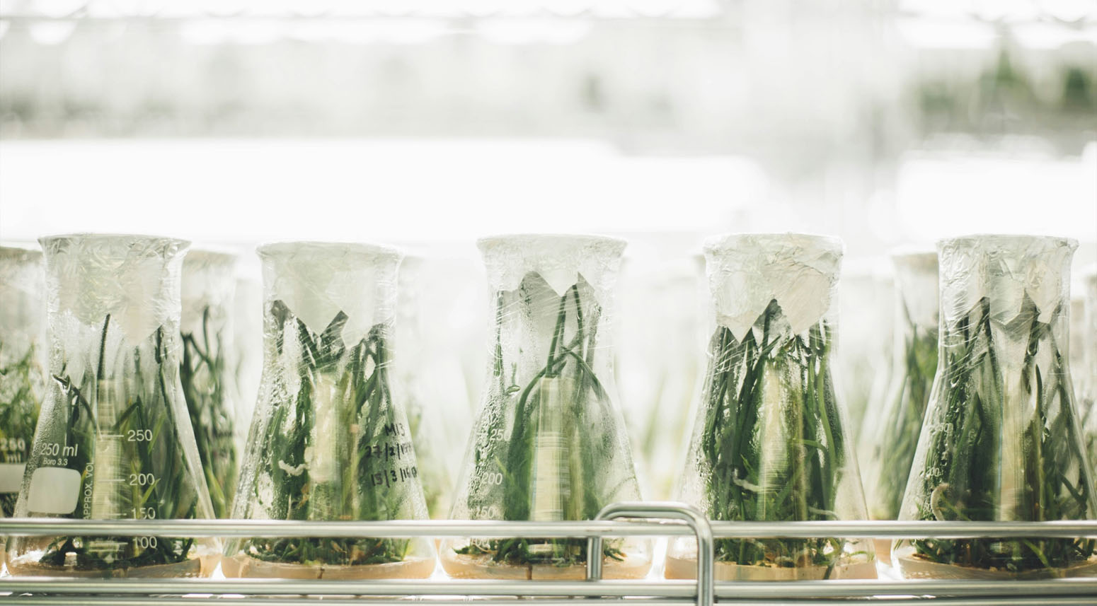 北京中医诊所小程序开发，助力诊所数字化转型